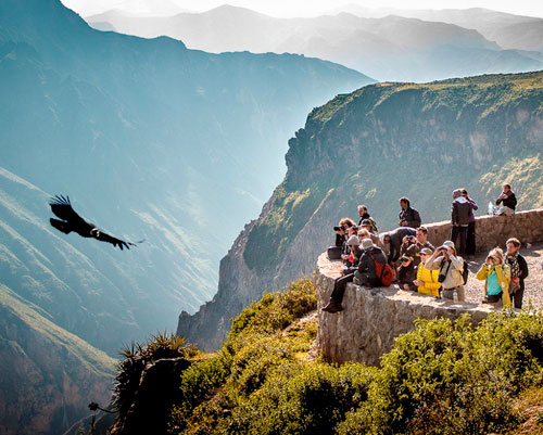 Colca Canyon Tour